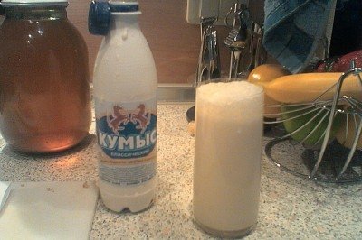 O kumis é uma bebida tradicional da Ásia Central feita com leite de égua fermentado, levemente alcoólica e de sabor azedo característico. Muito comum entre povos nômades, sobretudo no Cazaquistão, carrega séculos de história e identidade cultural. Sua textura e gosto refletem a adaptação alimentar a regiões de clima extremo. Mais que um alimento, simboliza tradição, sobrevivência e é consumido no dia a dia e em celebrações. Rico em nutrientes, tornou-se patrimônio cultural transmitido entre gera -  (crédito: Edmund Schlue wikimedia commons)