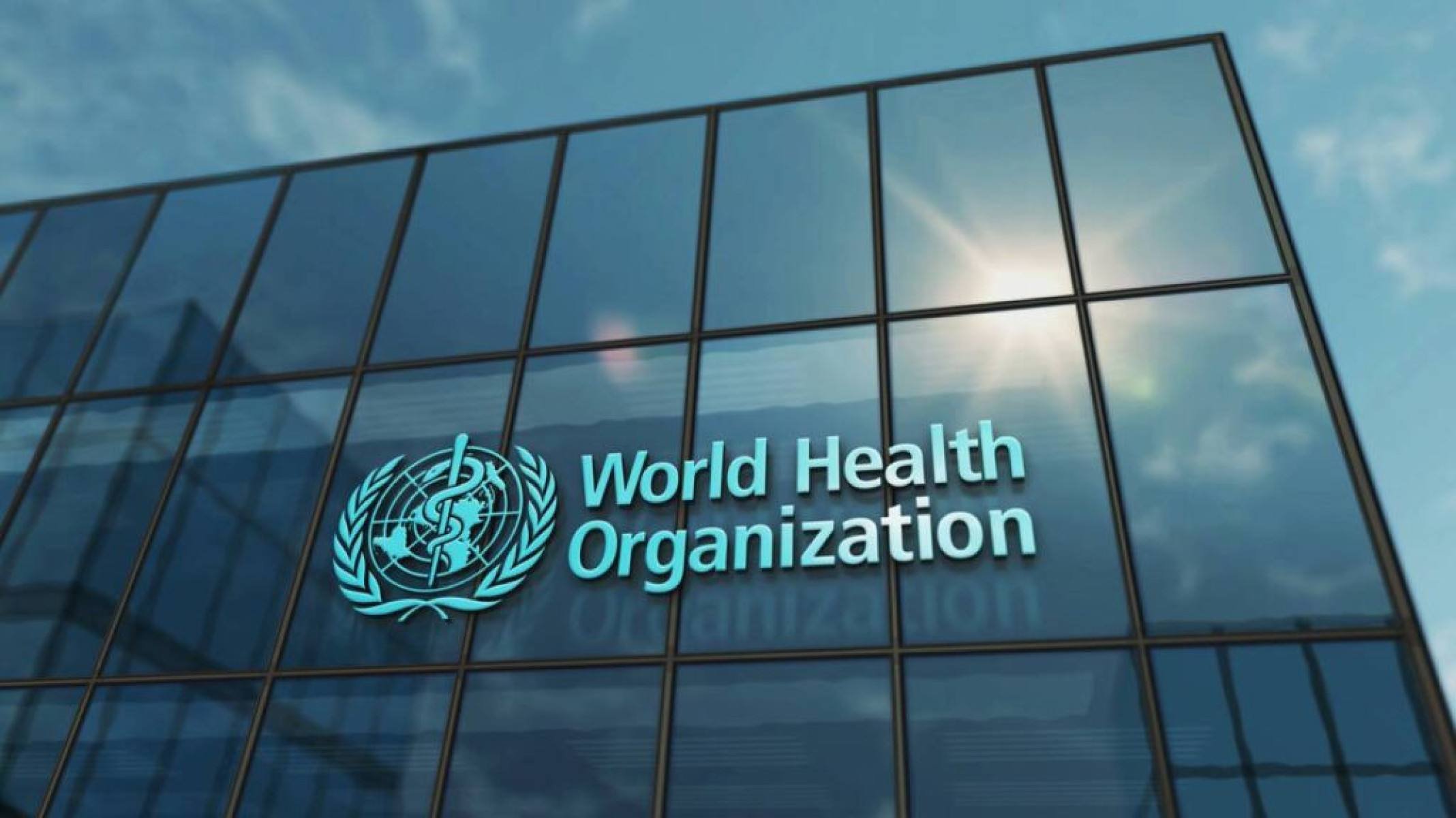 Saúde única: por que o destino dos humanos, dos animais e do planeta está interligado - Portal Giro 10