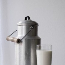 Muito além da vaca: a diversidade dos leites que nutrem a humanidade