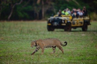 Dia da Terra: 10 projetos de conservação transformadores no Brasil 