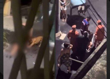 Mulher e vizinho são atacados por pitbull em condomínio de Ramos; vídeo -  (crédito: Tupi)