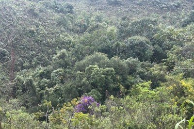 Vítima foi resgatada por bombeiros após ser encontrada por brigadistas; ela sofreu ferimentos leves e se queixou de dores pelo corpo -  (crédito: Divulgação/Corpo de Bombeiros)