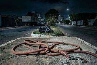 Suspeito de estupro de cão é preso; animal foi morto depois de agressão