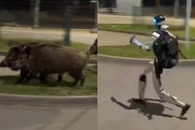 Cenas curiosas envolvendo robôs têm se tornado cada vez mais comuns ao redor do mundo. Alguns já participam de testes em espaços públicos, eventos oficiais e até interações com moradores. Em alguns casos, essas máquinas acabam protagonizando situações inesperadas. Foi exatamente isso que aconteceu com o robô humanoide conhecido como Edward Warchocki protagonizou uma cena inusitada ao ser filmado tentando afastar um grupo de javalis que circulava por uma rua de Varsóvia, na Polônia. As imagens fo -  (crédito: Montagem/Reproduc?a?o/Redes Sociais)