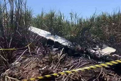  Acidente com monomotor foi descoberto por funcionários de uma usina próxima a Altair (SP) -  (crédito: Redes sociais/Reprodução)