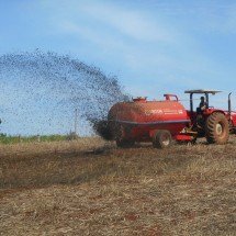 Agricultura regenerativa reduz gastos com fertilizantes e recupera o solo - Emater MG/Divulga&ccedil;&atilde;o
