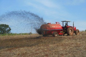 Agricultura regenerativa reduz gastos com fertilizantes e recupera o solo