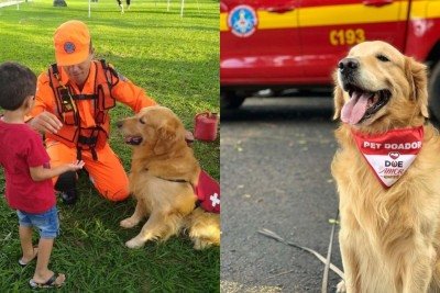 Thor doou sangue 14 vezes para o Hospital Veterinário de Uberaba, no Triângulo Mineiro -  (crédito: CBMMG/Divulgação)