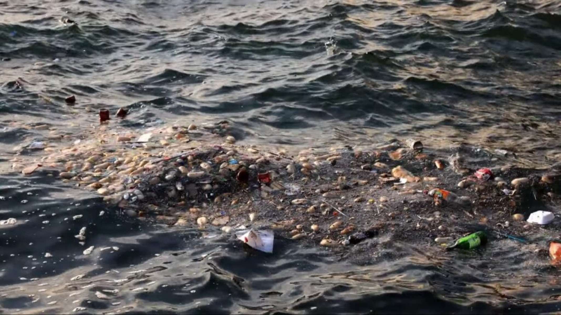 Grande Mancha de Lixo do Pacífico: o mito da ilha de plástico e a realidade de microplásticos no oceano aberto - Portal Giro 10