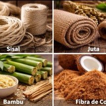 Fibras vegetais e diferenças entre elas: perspectivas para o futuro - Imagem gerada por i.a 