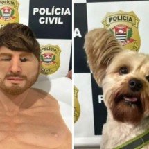 Homem usa máscara realista para furtar cão de ex-namorada em pet shop - Polícia Civil de SP/Divulgação