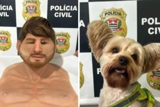 Homem usa máscara realista para furtar cão de ex-namorada em pet shop