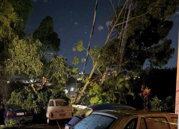 Árvores atingem kombi e outros veículos na região do Barreiro, em BH. -  (crédito: CBMMG)