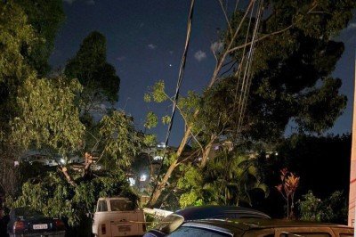 Árvores atingem kombi e outros veículos na região do Barreiro, em BH. -  (crédito: CBMMG)