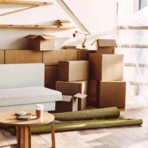 O universo escondido embaixo do sofá: o que a poeira doméstica realmente contém - Portal Giro 10