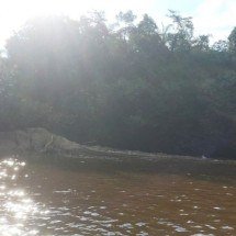 Corpo de jovem que se afogou em rio em MG é encontrado - CBMMG/Divulgação