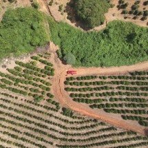 Bombeiros procuram farmacêutica desaparecida em MG - CBMMG/Divulgação