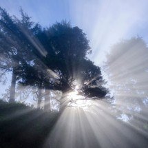 Oração poderosa à Ogum guerreiro para abrir caminhos - Wemystic