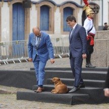 Cão caramelo rouba a cena em ato com Simões e Tarcísio em Ouro Preto; veja - Alexandre Guzanshe/EM/D.A Press
