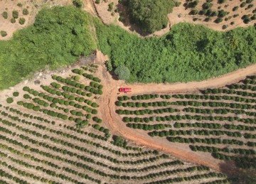 Bombeiros realizam buscas por fazendas de café no Sul de Minas a procura de farmacêutica desaparecida na sexta-feira (17/4) -  (crédito: CBMMG/Divulgação)