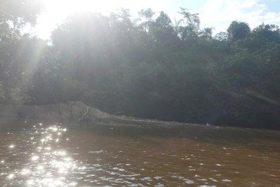 Corpo de jovem de 19 anos que se afogou ao tentar atravessa rio em Minas é encontrado pelo Corpo de Bombeiros -  (crédito: CBMMG/Divulgação)