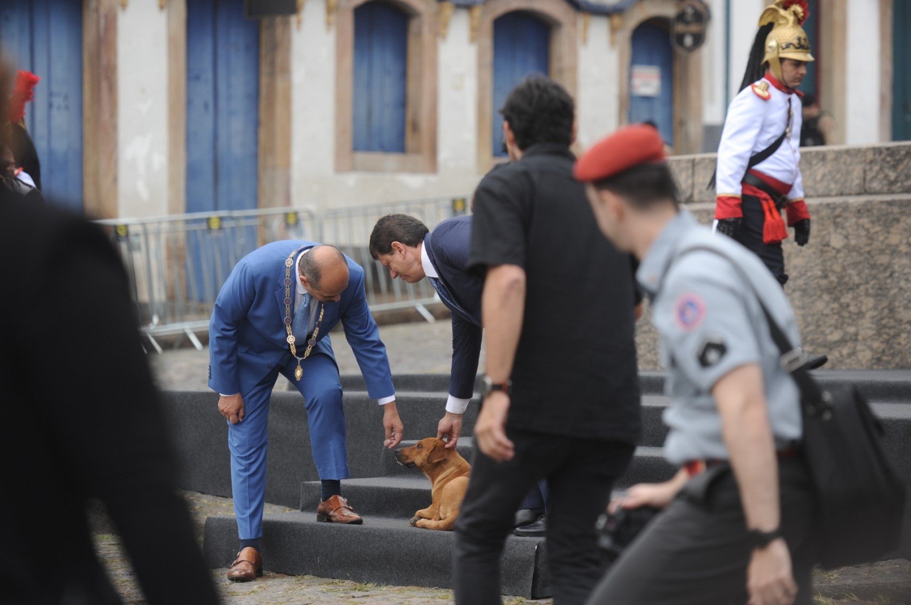 C&atilde;o caramelo acompanha solenidade da Inconfid&ecirc;ncia e interage com autoridades em Ouro Preto 