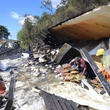 Carreta da Perdigão que tombou na BR-381 doa carga perdida para população - Leandro Couri/EM/D.A.Press