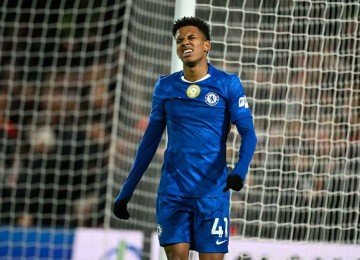 De acordo com o site 