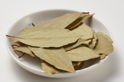 Muito al&eacute;m da culin&aacute;ria, as folhas de louro se destacam em rituais de bem-estar e aromaterapia para a mente. -  (crédito: Aflo Images)