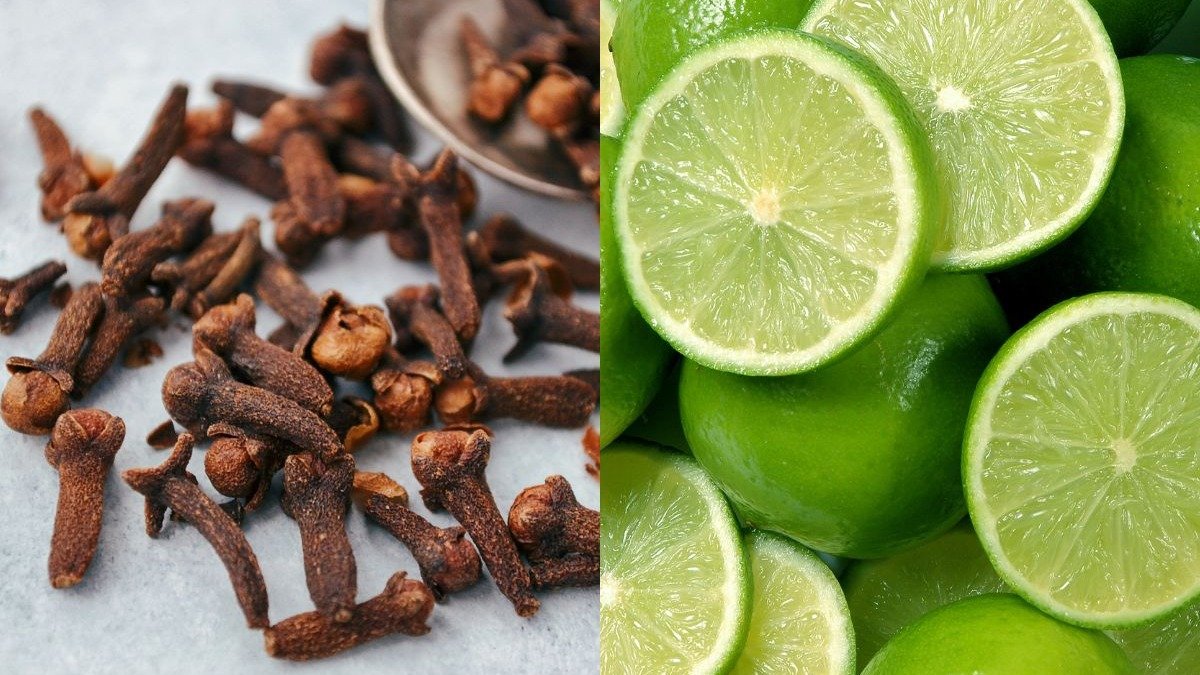 Limão com cravo: o truque caseiro que afasta mosquitos e perfuma - Irina P de Pexels /  ribeirorocha de Getty Images Pro