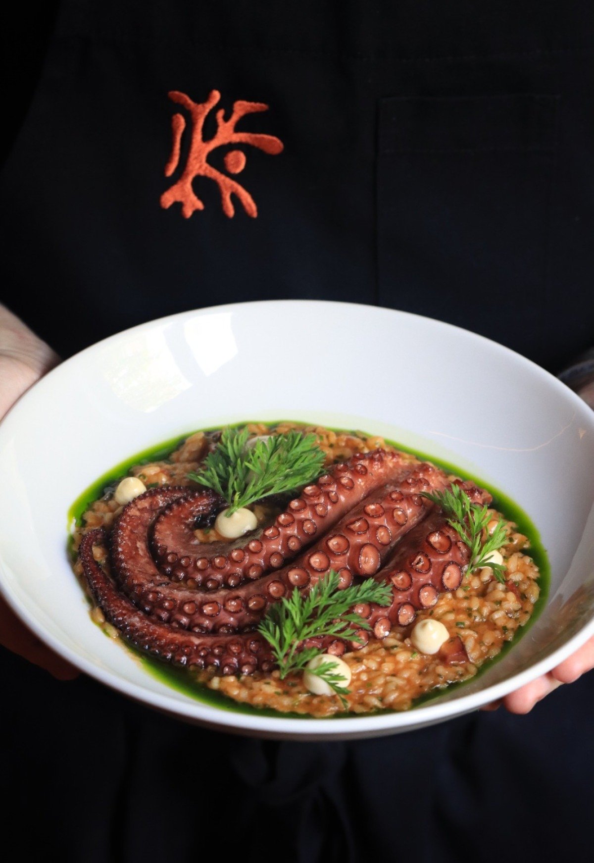 Polvo na brasa com arroz, cubos de peixe, chorizo e aioli 