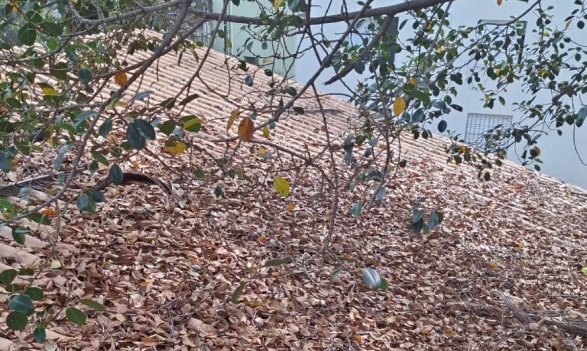 Diante da amea&ccedil;a causada pelas infiltra&ccedil;&otilde;es, a campanha assume um car&aacute;ter emergencial