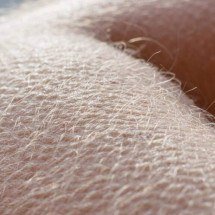 Por que sentimos arrepio? A ciência da piloereção, o papel do sistema nervoso e o fenômeno do frisson ligado às emoções humanas - Portal Giro 10