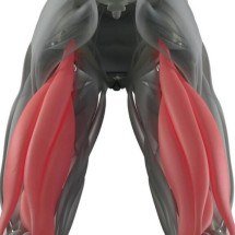 Entenda o que é ruptura muscular na coxa, que coloca Estêvão em risco para a Copa do Mundo - Portal Giro 10