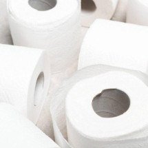 O custo ambiental do papel higiênico: por que repensar esse hábito pode fazer diferença e quais são as opções mais verdes - Portal Giro 10