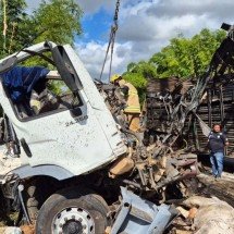 MG: motorista morre em acidente entre carreta com bois e caminhão na BR-116 - CBMMG