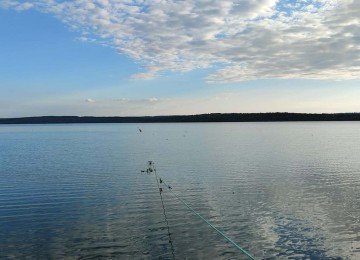 Reservatório Três Marias atinge nível máximo previsto ao fim da estação chuvosa -  (crédito: Wilson Brandão/Divulgação)