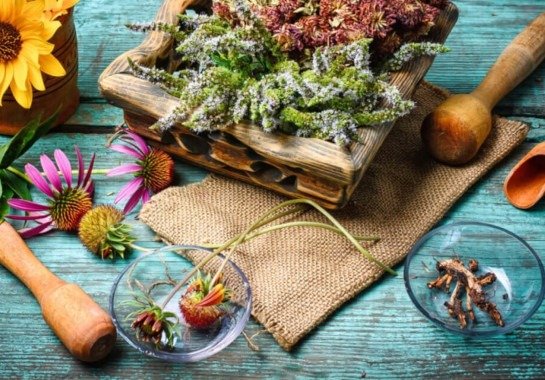 Ervas de Ogum: suas utilizações em rituais e propriedades de cura