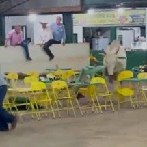 Vídeo: boi pula cerca de leilão em MG e provoca pânico - Redes Sociais/Divulga&ccedil;&atilde;o