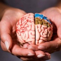 Quando os sentidos se misturam: o fascinante fenômeno da sinestesia leve e o que ele diz sobre percepção e criatividade - Portal Giro 10