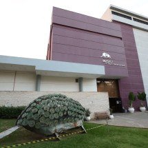 Ave do Terror: pesquisa envolvendo PUC Minas e UFBA descobre nova espécie - Marcos Vieira/EM/D.A.Press