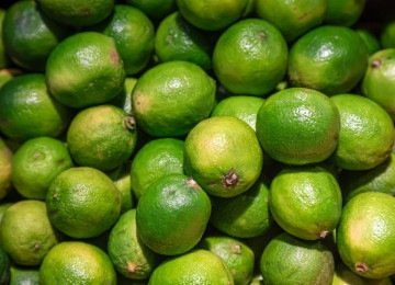 21ª Câmara Cível do TJMG manteve indenização de homem acusado falsamente de roubar limões -  (crédito: Crédito: Envato Elements/Imagem ilustrativa)