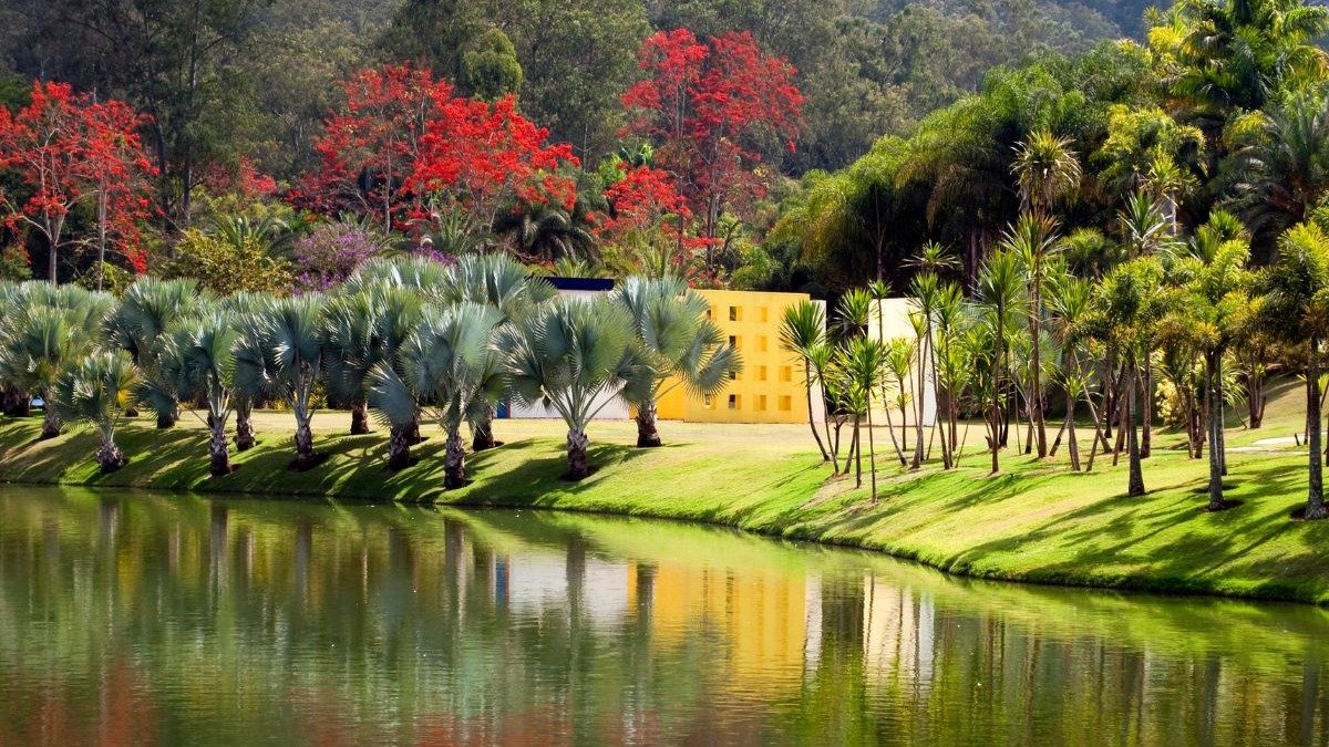 Jardim bot&acirc;nico exuberante e galerias de arte ao ar livre comp&otilde;em a paisagem do Instituto Inhotim, em Brumadinho. -  (crédito: caioquintino de Getty Images)