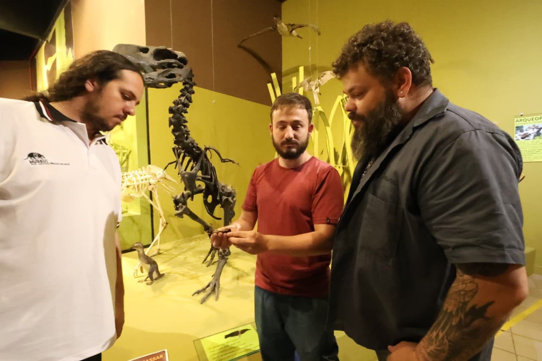 O professor Rodrigo Parisi (à esquerda), com os colegas Victor Hugo Machado e Luciano Vilaboim: os três participaram da pesquisa que identificou a nova ave do terror-Marcos Vieira/EM/D.A.Press