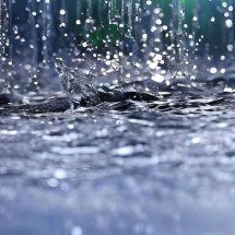 O perfume da chuva: entenda o petricor, a geosmina do solo e por que nosso nariz é tão sensível após a primeira gota - Portal Giro 10