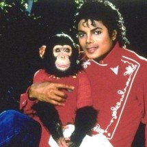 O que aconteceu com Bubbles, o chimpanzé de Michael Jackson - Reprodução