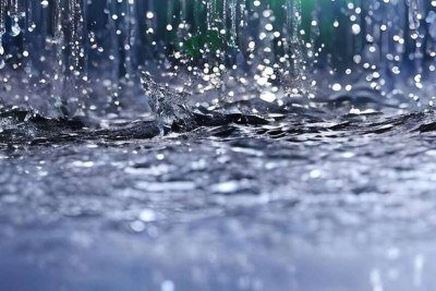 O perfume da chuva: entenda o petricor, a geosmina do solo e por que nosso nariz é tão sensível após a primeira gota -  (crédito: Portal Giro 10)