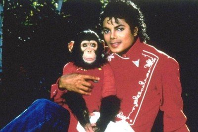 Michael Jackson resgatou o macaco Bubbles na década de 1980 e deixou a própria família chocada com a atitude  -  (crédito: Reprodução)