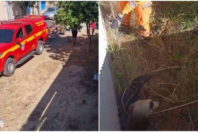 Resgate aconteceu na manhã deste sábado (25) -  (crédito: CBMMG)