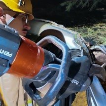 Carro bate em vaca, capota, deixa dois feridos e animal morto em MG - CBMMG